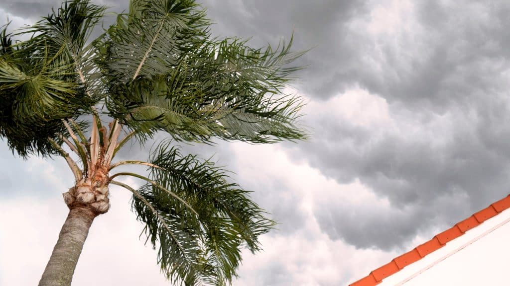 A palm tree next to a Florida home with storm clouds in the sky